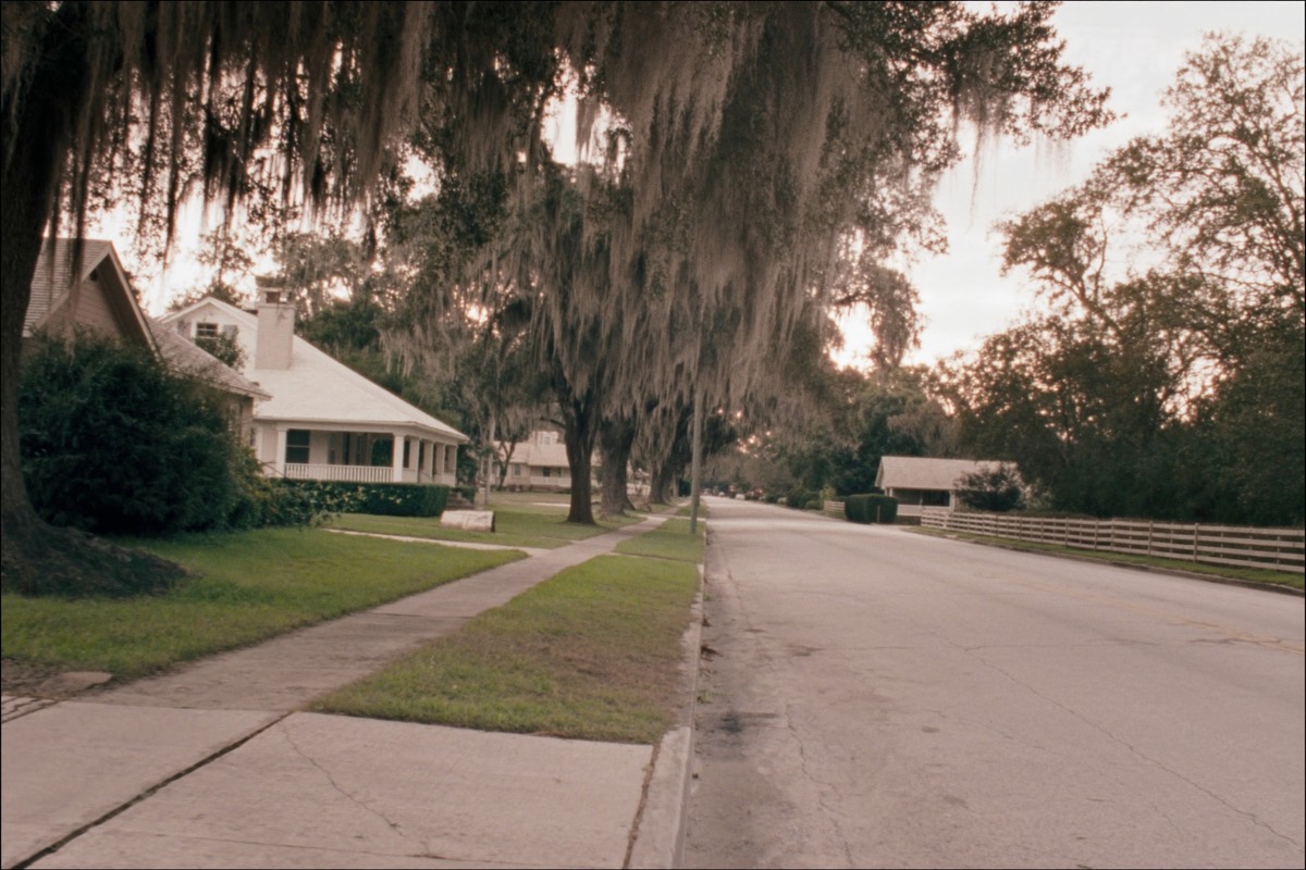 A quiet, tree-lined residential street in a New Bern, NC neighborhood with oak trees and single-family homes